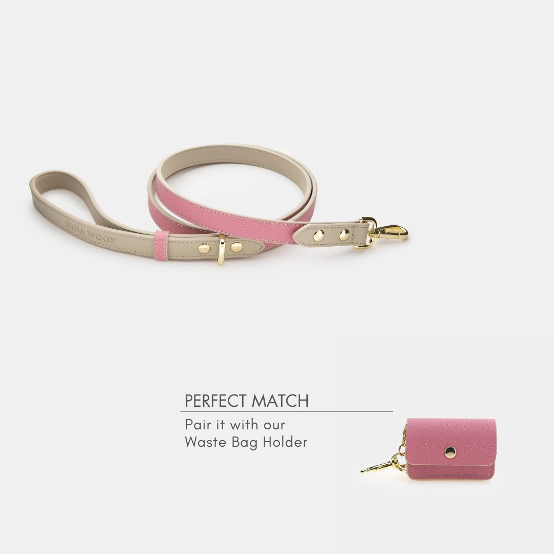 Leash 4ft - Vegan Leather - Rio